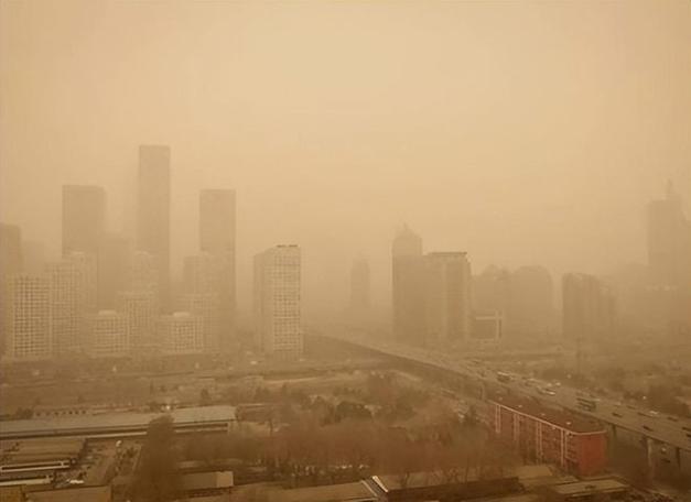 中西医结合鼻炎治疗策略_慢性鼻炎发病机制研究_猫咪慢性鼻炎治疗