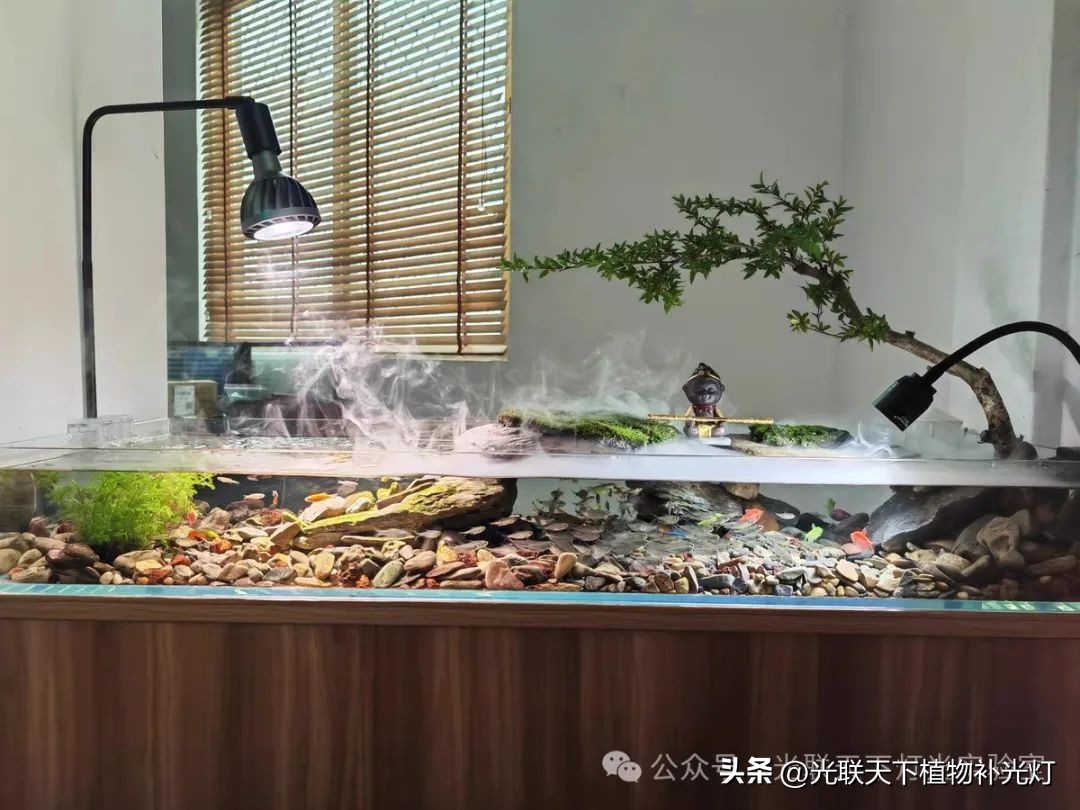 鱼缸LED灯种类选择_鱼缸灯光设置的学问_鱼缸灯功率选择标准