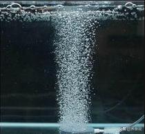 观赏鱼想养好，在养鱼之前先准备这3件套，别做无准备的养鱼-派特超人-宠物