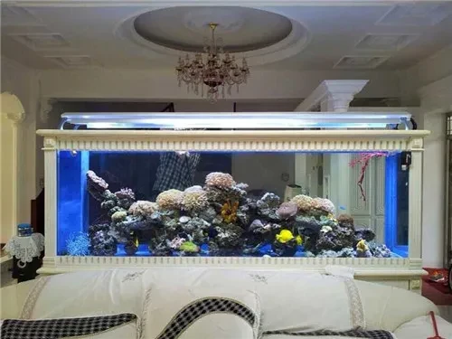 鱼缸消毒的正确操作流程_水体消毒常用方法_二氧化氯鱼缸消毒方法
