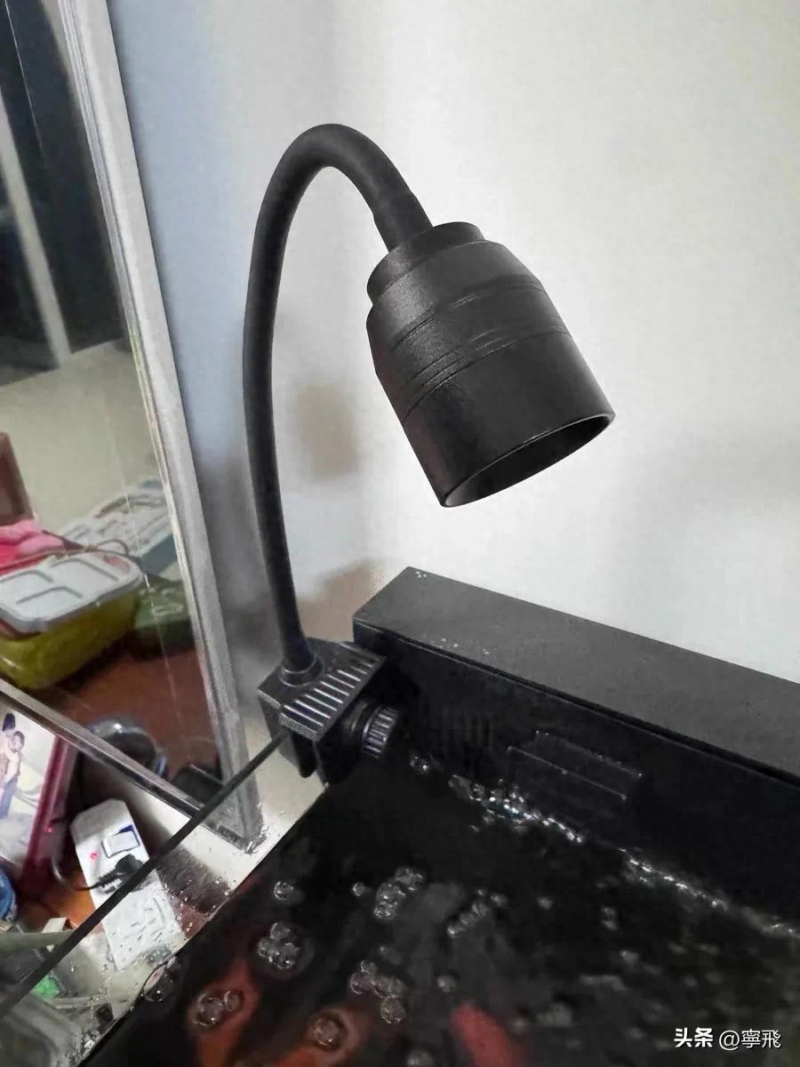 鱼缸照明系统选择指南_鱼类健康照明灯具_鱼缸灯光设置的学问