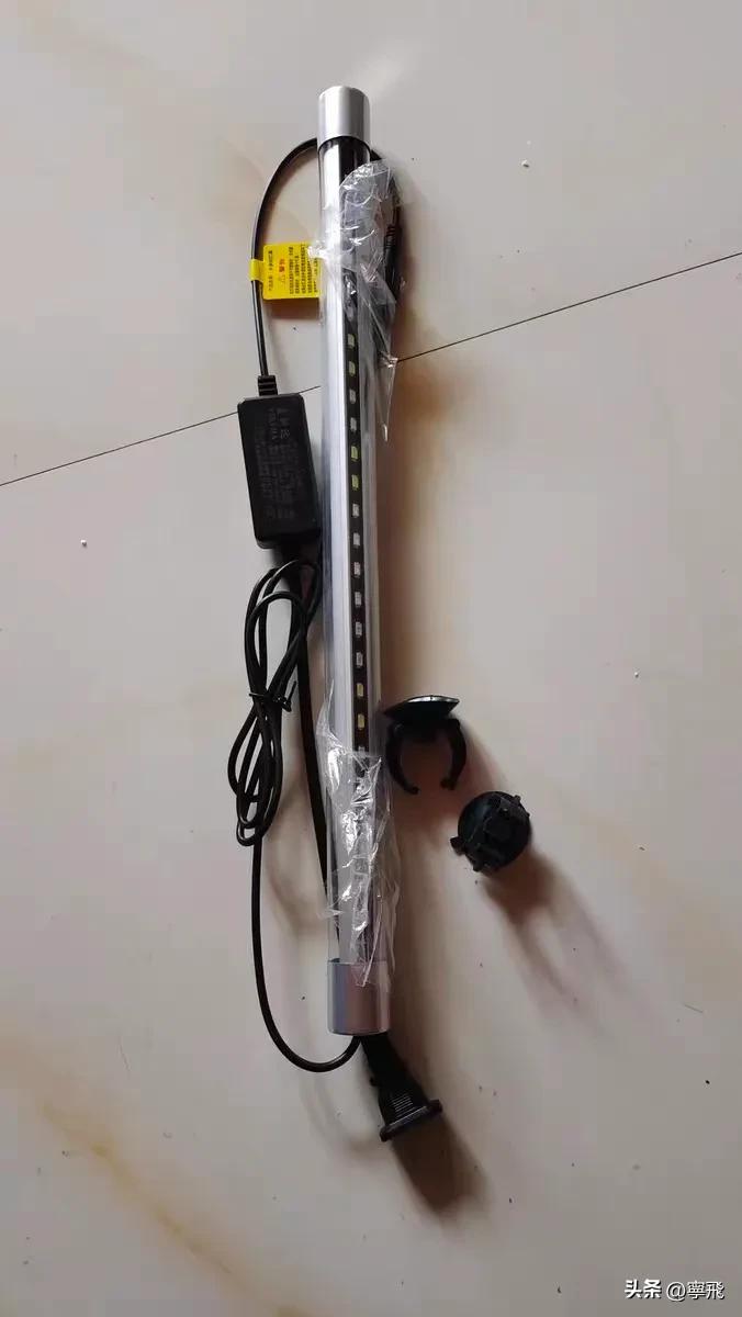 鱼缸照明系统选择指南_鱼类健康照明灯具_鱼缸灯光设置的学问