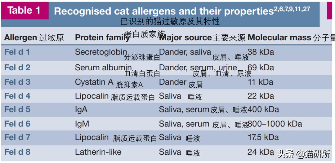 Fel d 1过敏原_猫咪慢性鼻炎治疗_对猫过敏症状