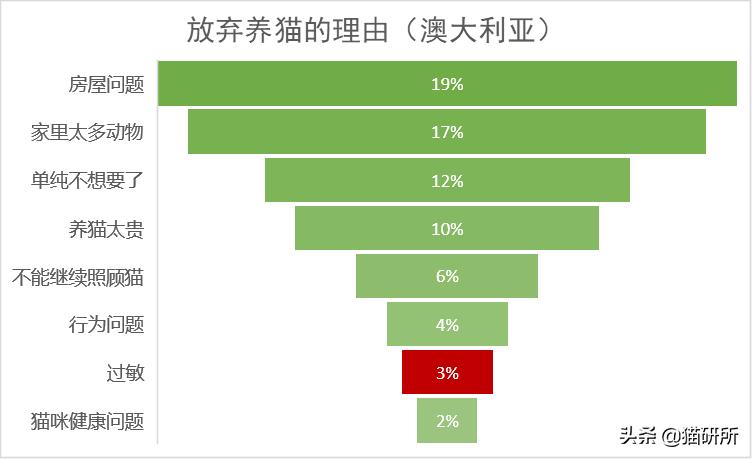 Fel d 1过敏原_对猫过敏症状_猫咪慢性鼻炎治疗
