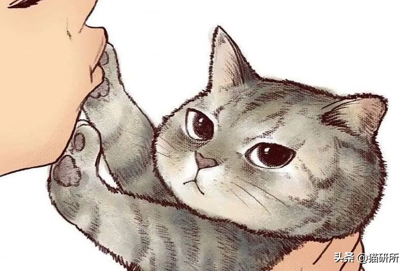 对猫过敏症状_猫咪慢性鼻炎治疗_Fel d 1过敏原
