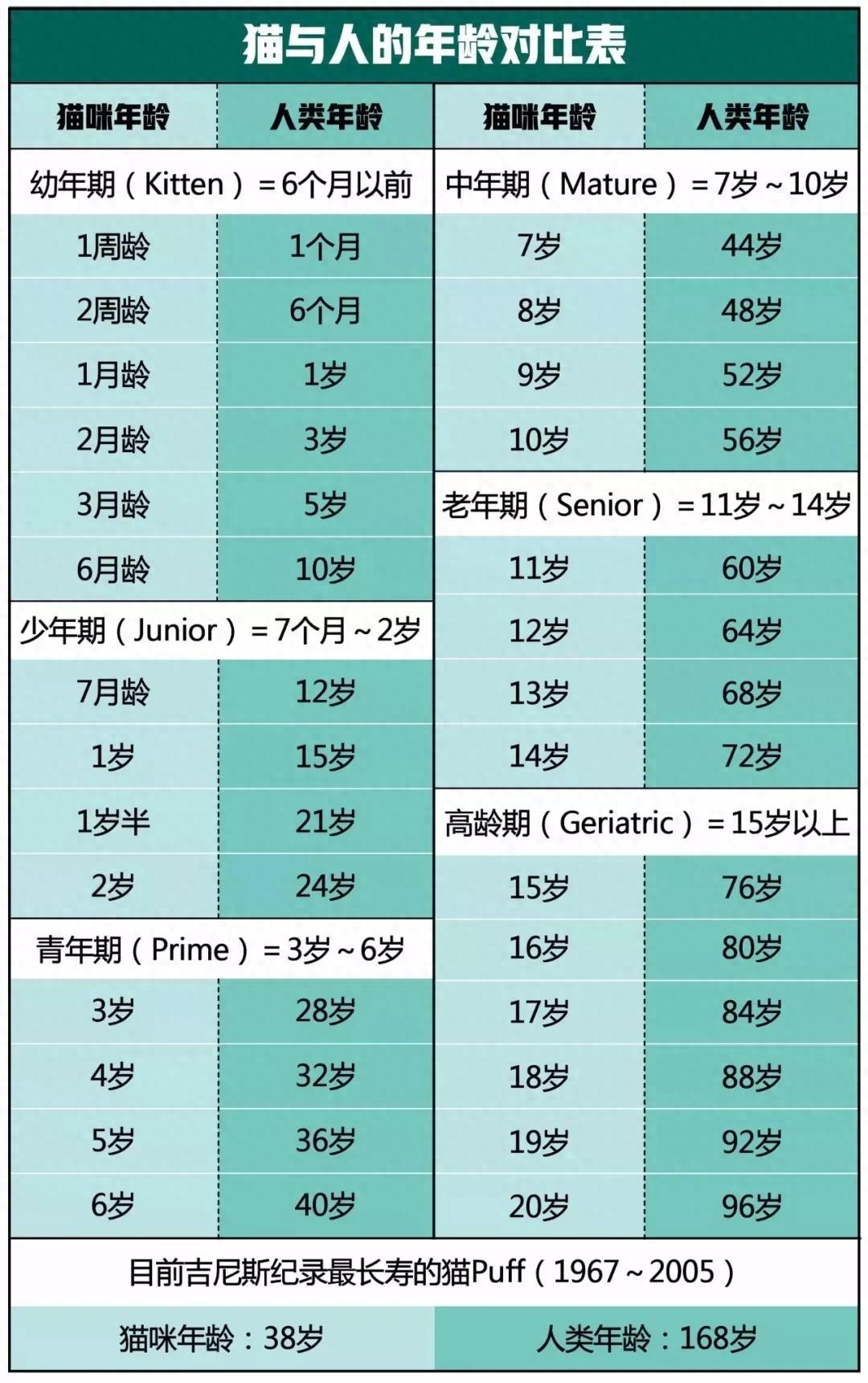 老年猫常见疾病_老年猫体检重要性_猫咪肘关节骨关节炎：老年猫跛行