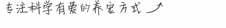 猫咪十大疾病介绍_猫咪肘关节骨关节炎：老年猫跛行_猫咪常见疾病预防