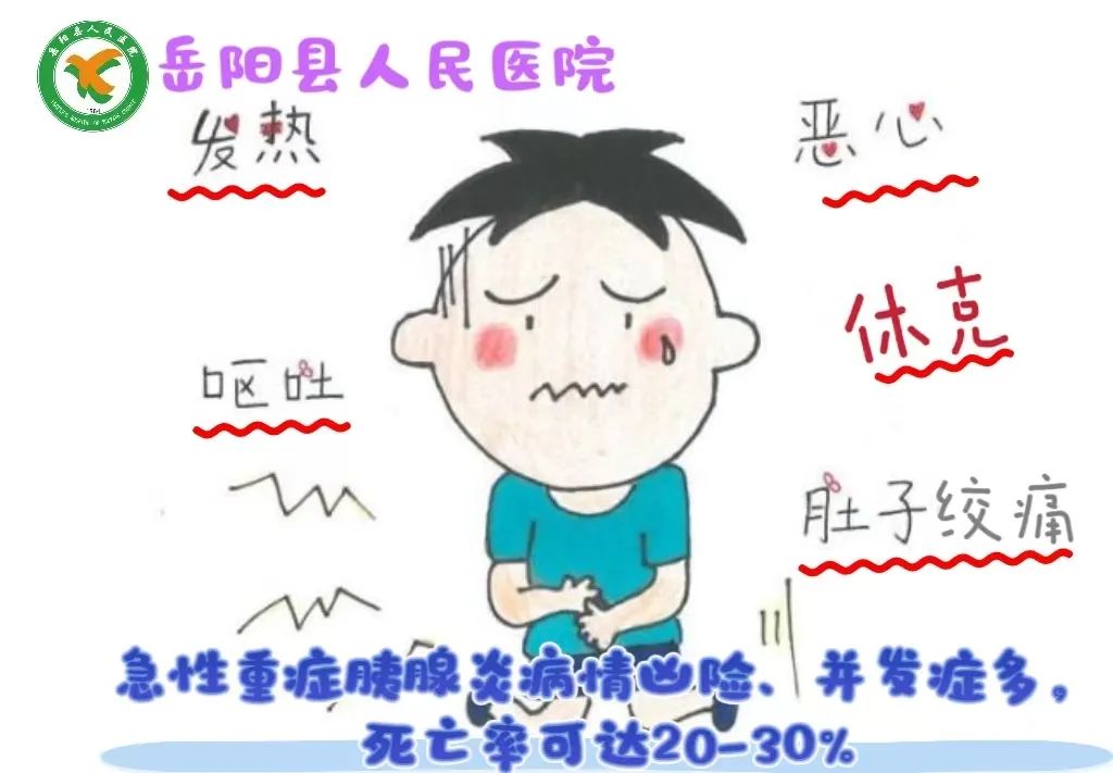 猫咪胰腺炎：剧痛疾病的预防方法_急性胰腺炎症状_岳阳县人民医院胰腺炎治疗