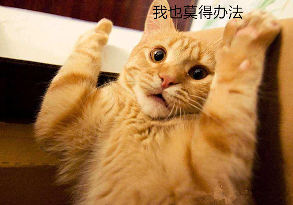 猫咪胡萝卜素转化率_猫咪维生素A中毒：过量肝脏的危害_猫咪胡萝卜补充维生素A误区
