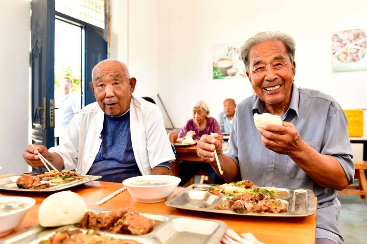 夏季胰腺炎高发原因_猫咪胰腺炎：剧痛疾病的预防方法_胰腺炎预防措施