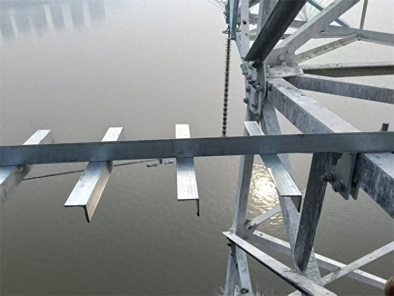 铁塔加装栖鸟架 供电“护鸟”生态稳-派特超人-宠物