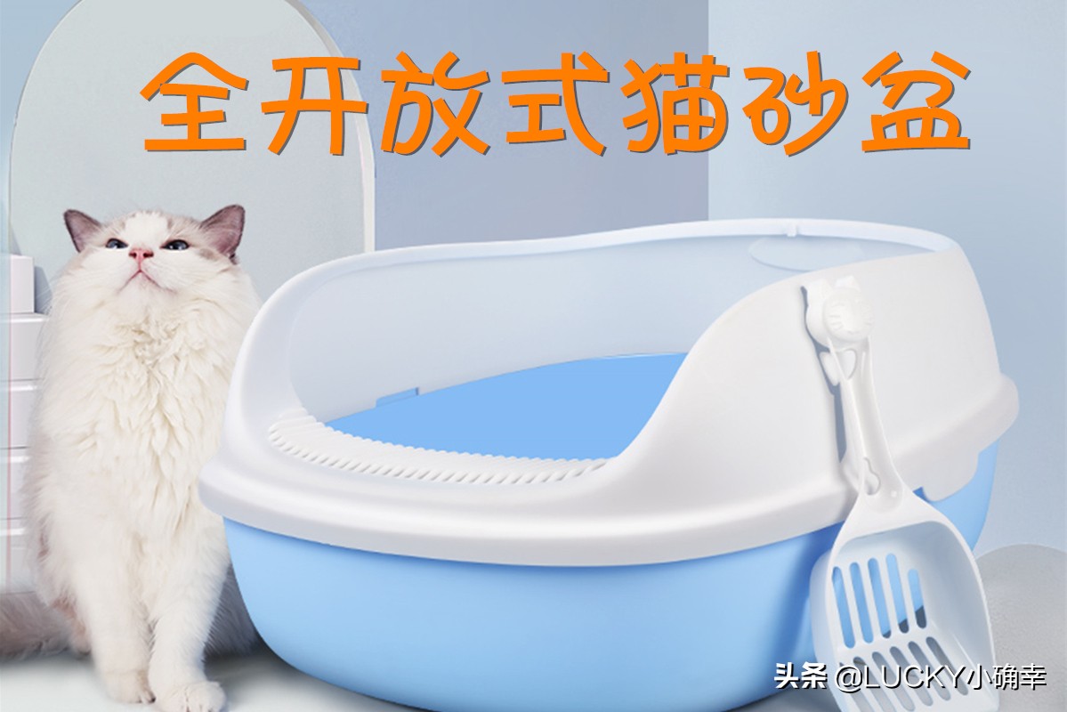 如何选择最适合的猫砂盆_全开放猫砂盆优缺点_猫咪猫砂盆选择攻略