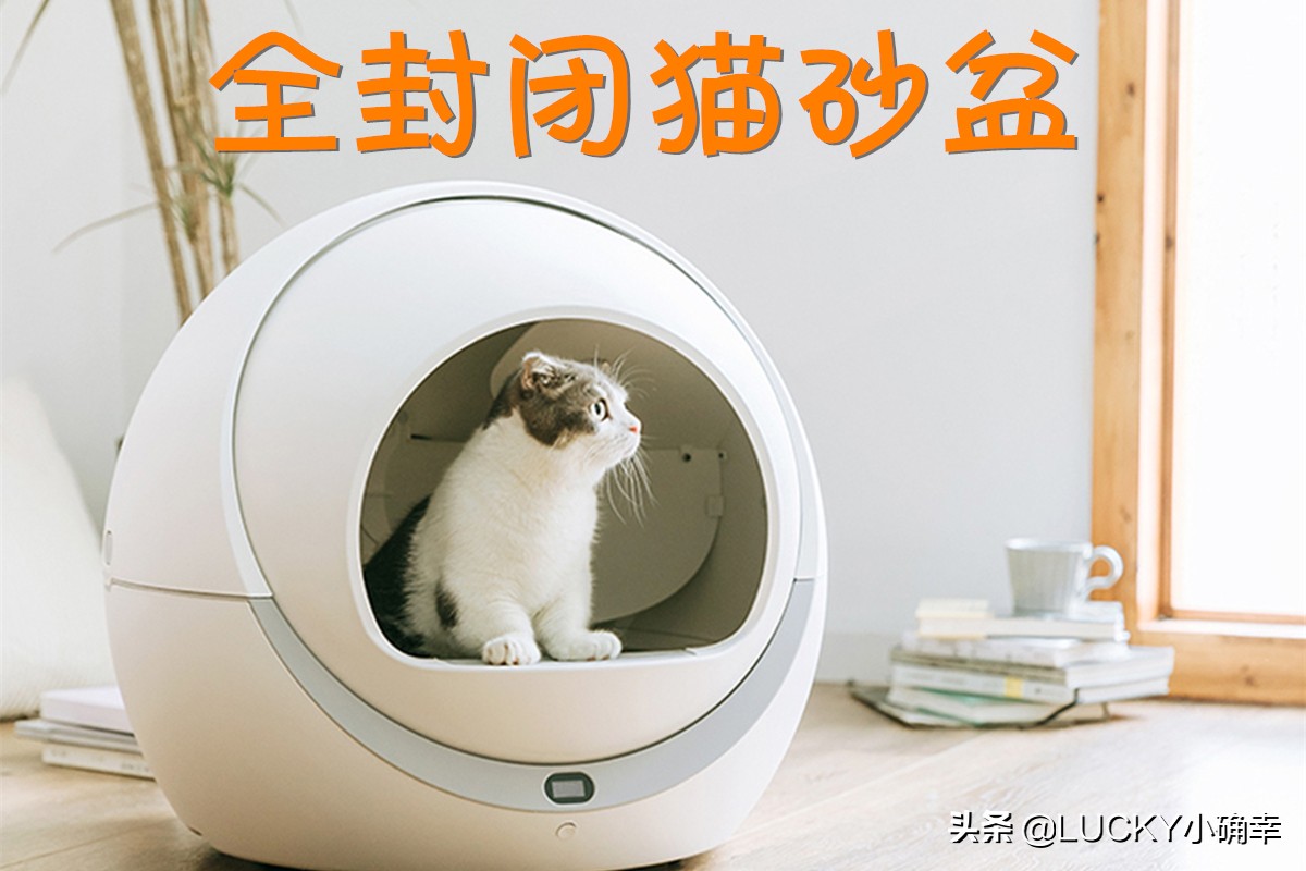 如何选择最适合的猫砂盆_猫咪猫砂盆选择攻略_全开放猫砂盆优缺点