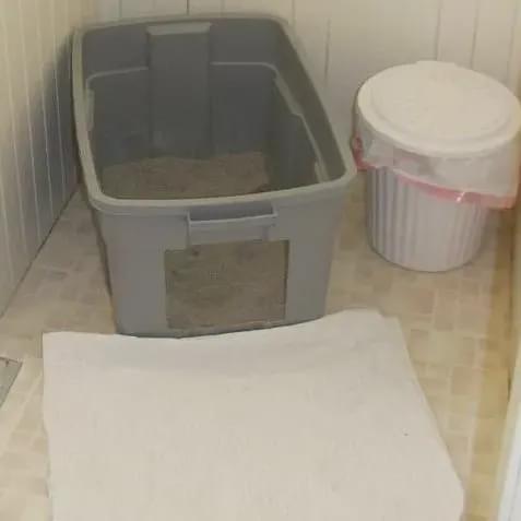 流浪猫装残疾骗吃_猫咪瘸腿原因_猫咪多发性关节炎：僵硬步态诊断