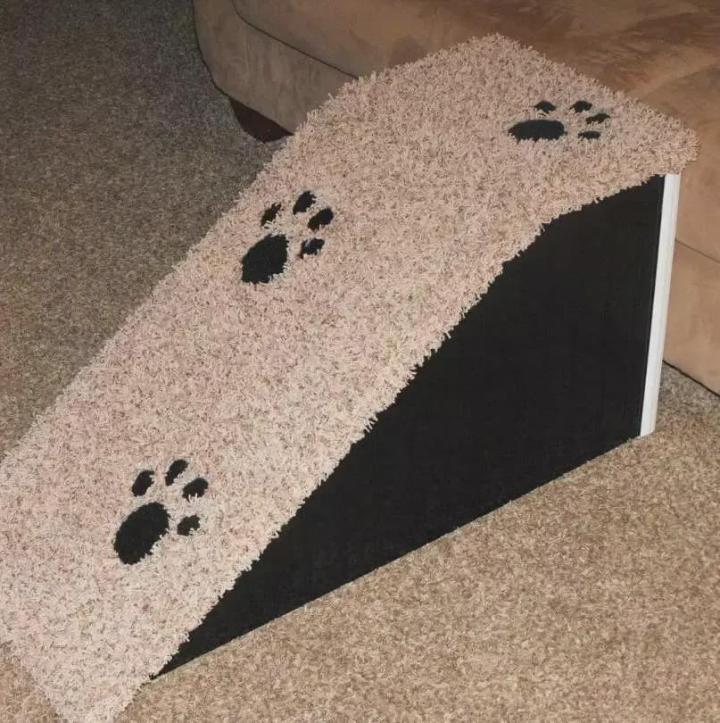 流浪猫装残疾骗吃_猫咪瘸腿原因_猫咪多发性关节炎：僵硬步态诊断