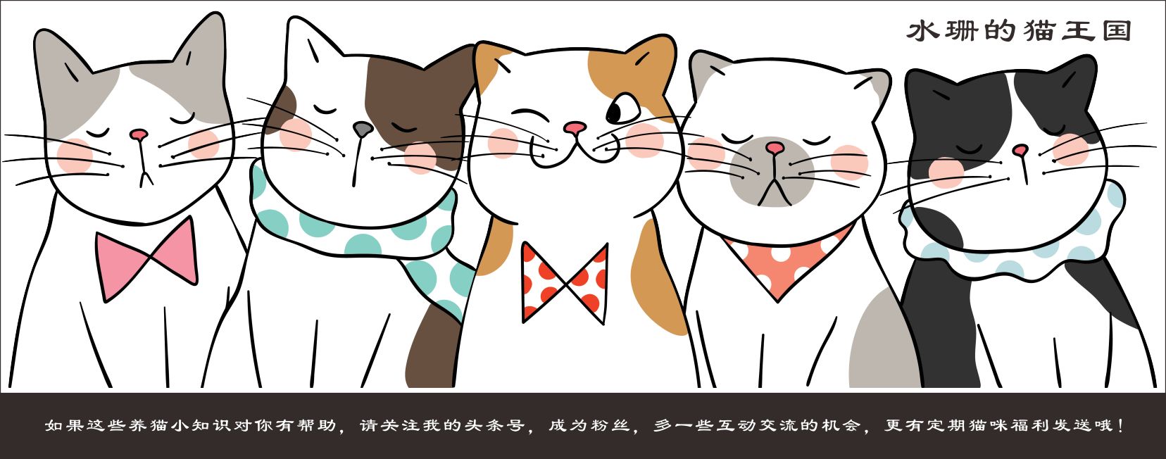 如何选择最适合的猫砂盆_猫砂盆数量选择_猫咪如厕行为