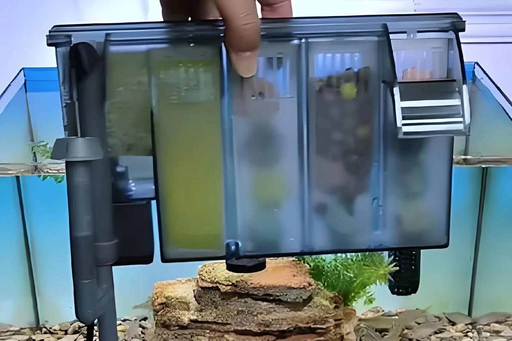 开缸秘籍低成本养鱼_新手养泰狮鱼缸问题_鱼缸开缸养水的正确步骤