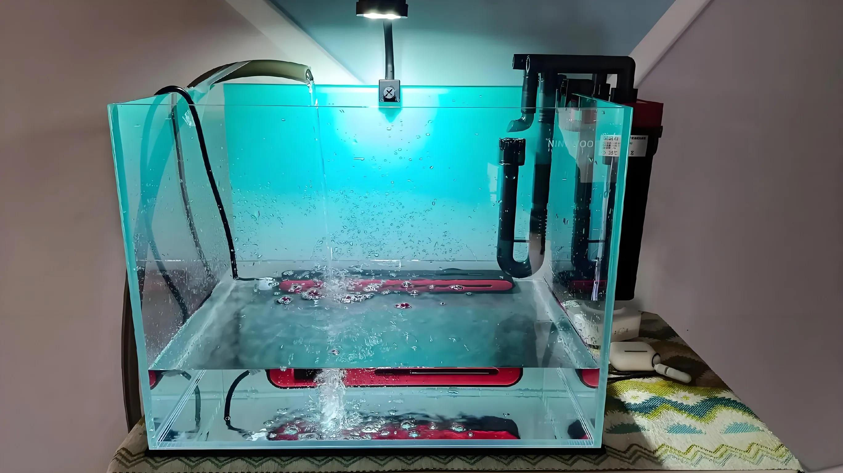 新手养泰狮鱼缸问题_开缸秘籍低成本养鱼_鱼缸开缸养水的正确步骤