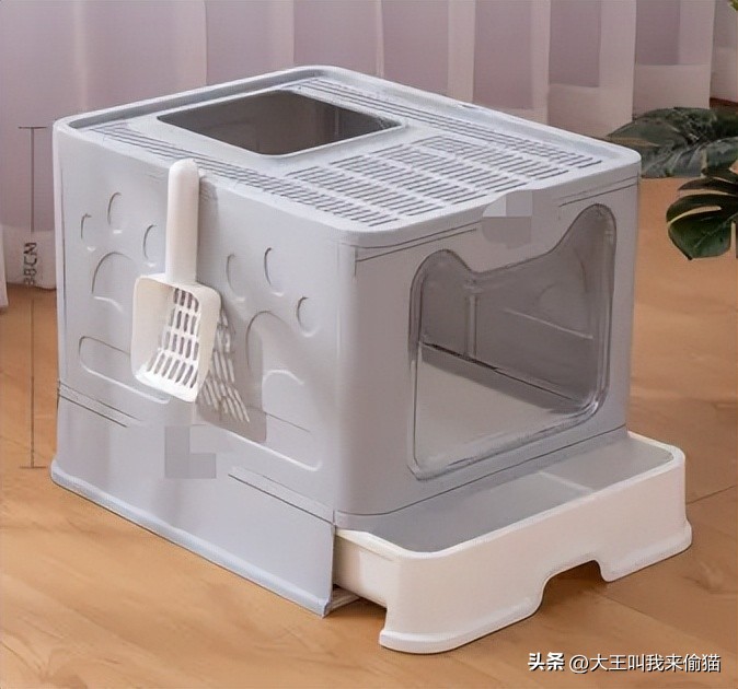 如何选择最适合的猫砂盆_新手养猫猫砂盆推荐_猫砂盆选择指南