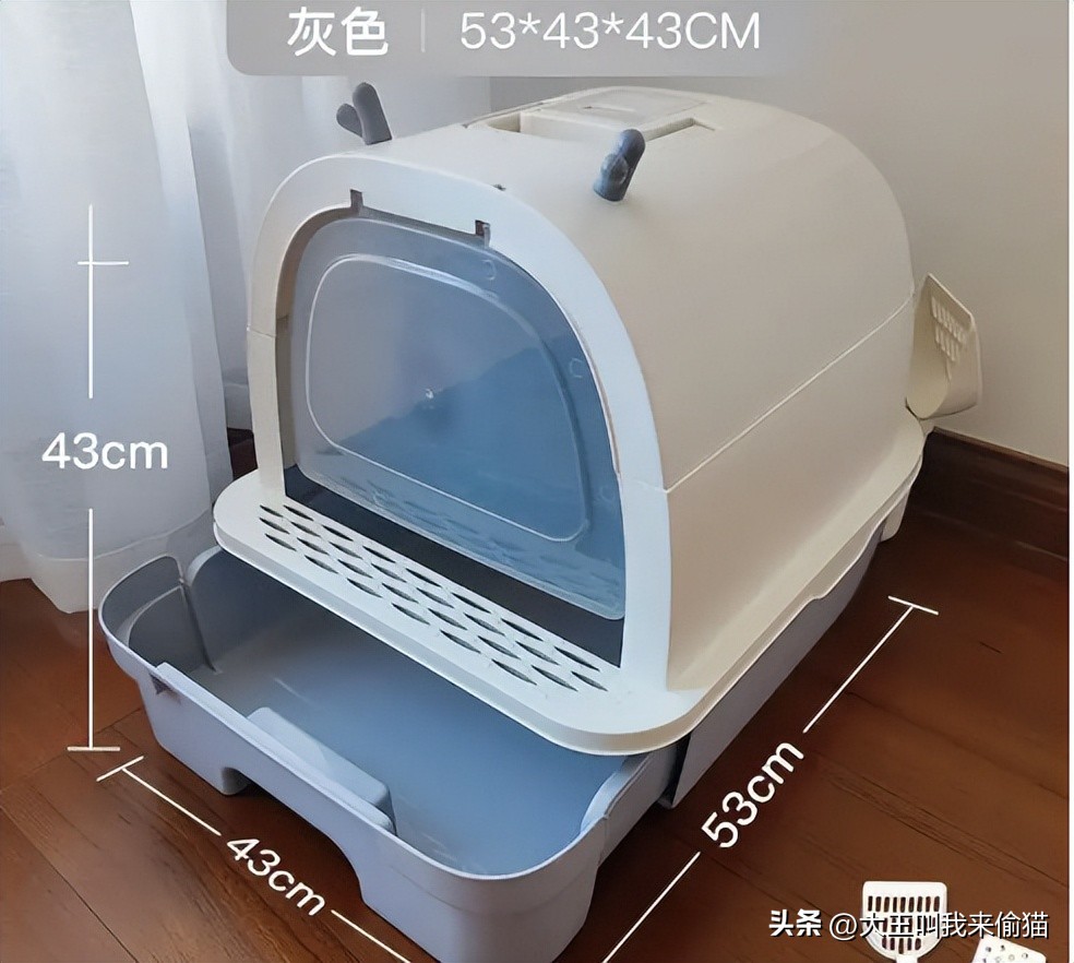 新手养猫猫砂盆推荐_猫砂盆选择指南_如何选择最适合的猫砂盆