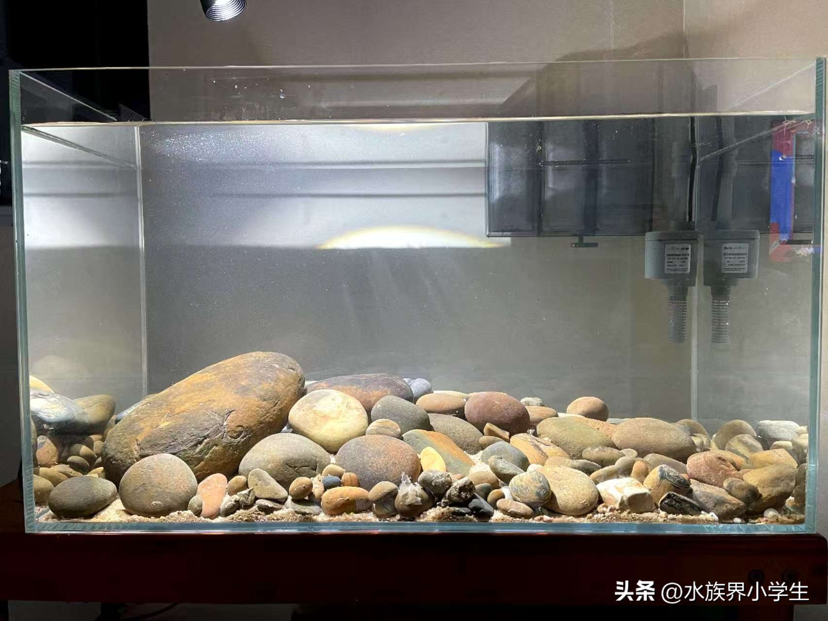 鱼缸开缸养水的正确步骤_养鱼攻略_无脑开缸