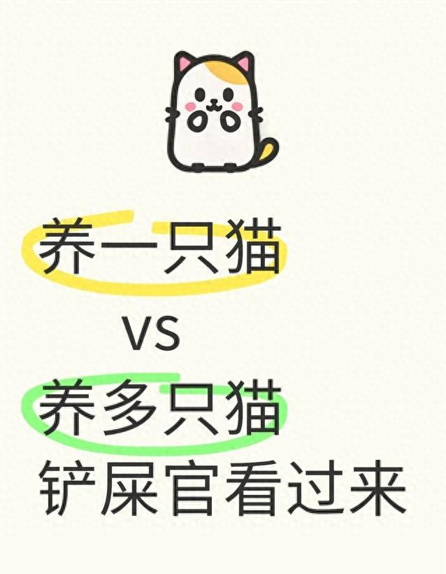 猫咪的日常社交行为解析_猫咪性格差异_判断猫咪是否需要伴儿