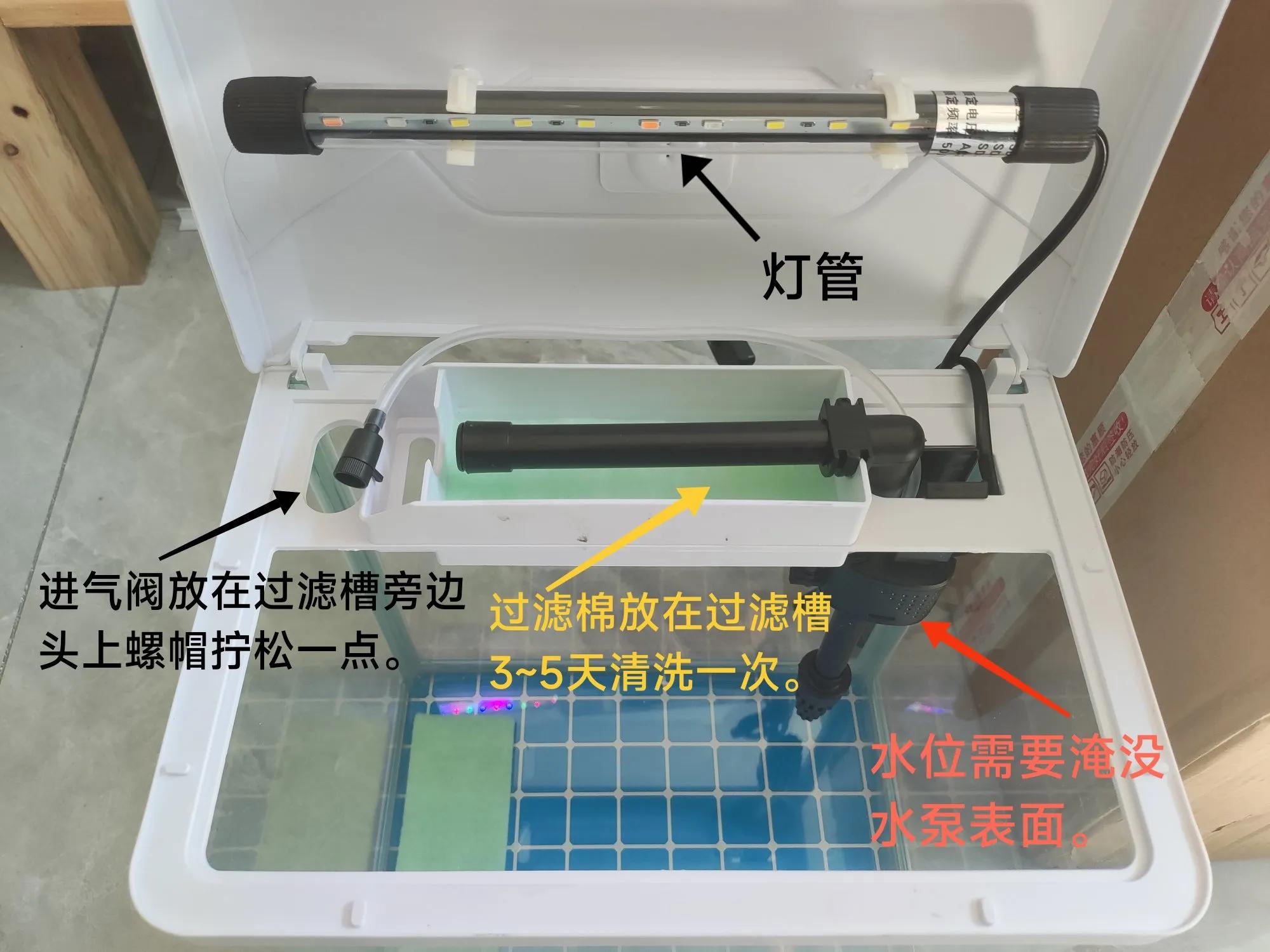 鱼缸开缸养水的正确步骤_鱼缸过滤系统安装教程_鱼缸盐水消毒步骤