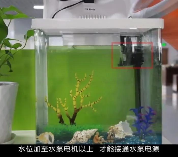 鱼缸开缸养水的正确步骤_鱼缸过滤系统安装教程_鱼缸盐水消毒步骤