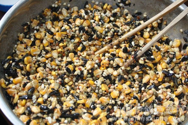 论饲料投喂量与体重控制-派特超人-宠物