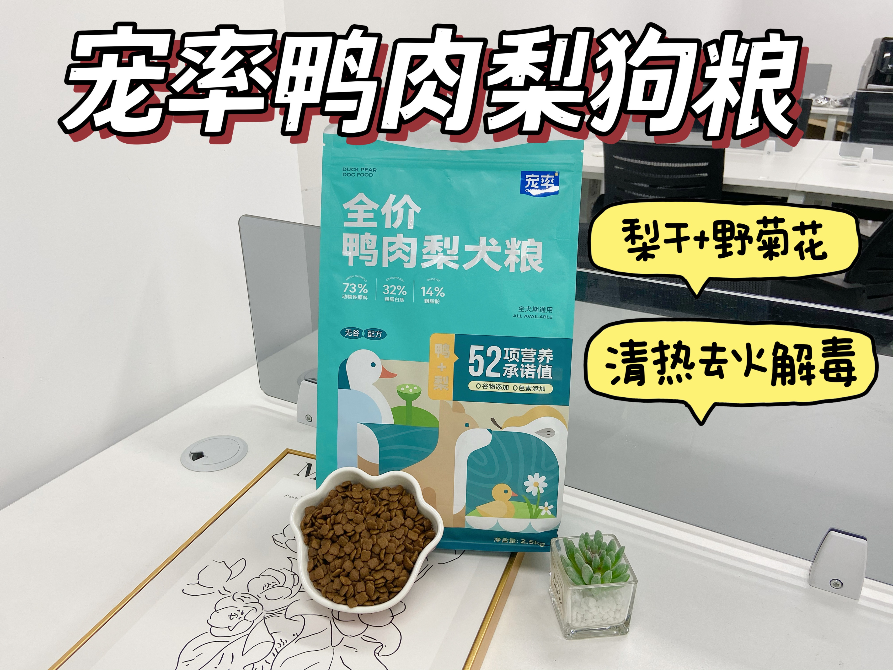 狗狗专业造型的保持技巧_狗狗界颜值排行_最受欢迎狗狗品种盘点