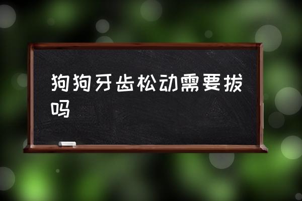 狗狗牙齿松动需要拔吗