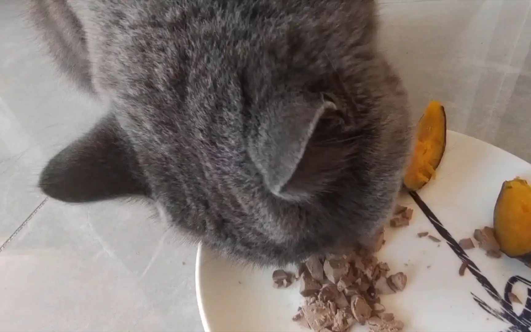 猫咪非常爱吃的这种食物,可能引发维生素中毒,铲屎官要注意-派特超人-宠物