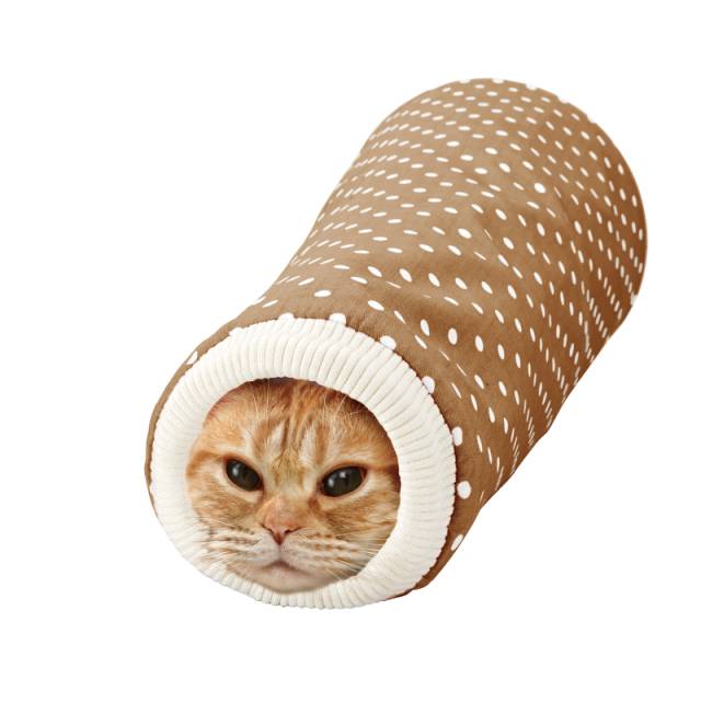 猫咪为什么喜欢钻进购物袋_猫玩具响纸_猫咪响纸玩具推荐