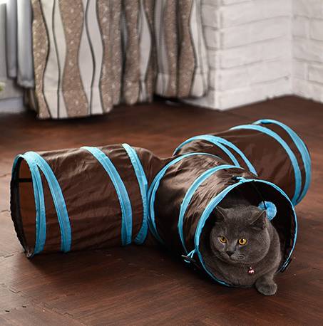 猫咪为什么喜欢钻进购物袋_猫玩具响纸_猫咪响纸玩具推荐