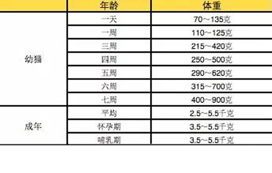 猫胖了怎么减肥 猫怎么减肥会成功么-派特超人-宠物