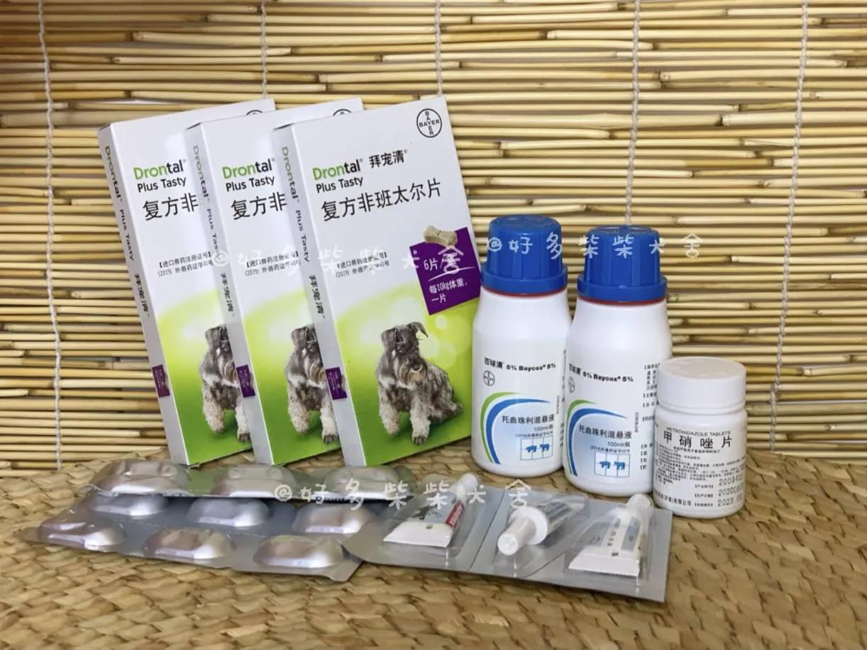 狗狗尾巴皮炎溃烂？细菌和真菌感染_狗狗腹泻原因及处理_柴犬居家常见疾病