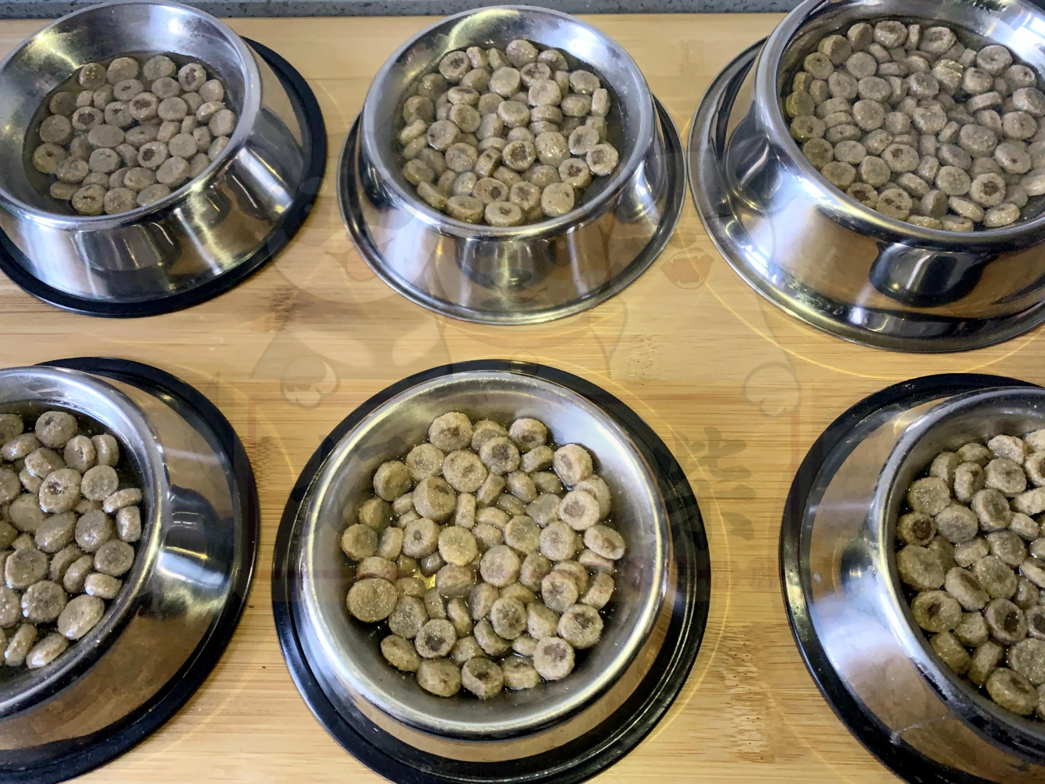 狗狗腹泻原因及处理_狗狗尾巴皮炎溃烂？细菌和真菌感染_柴犬居家常见疾病
