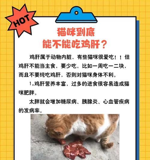 猫咪吃鸡肝死亡有哪些征兆?