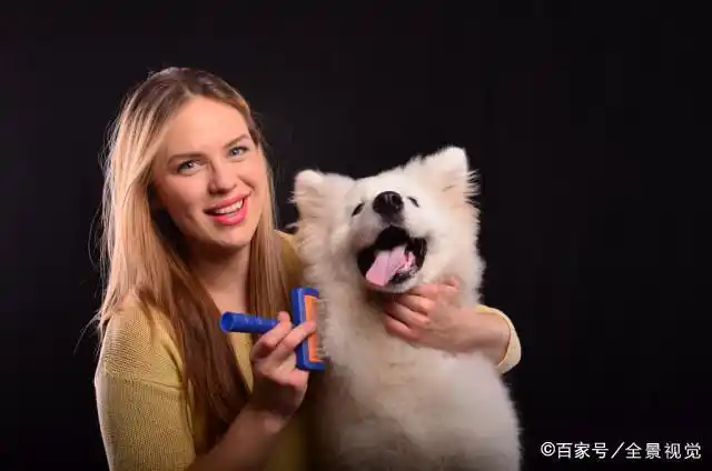 幼犬梳毛时的奖励方式_正确给狗狗梳毛方法_狗狗梳毛好处