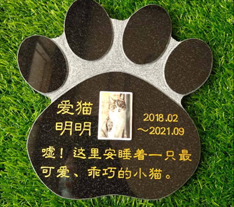 猫咪死后处理方法_猫咪火葬处理_猫咪为什么爱埋食物