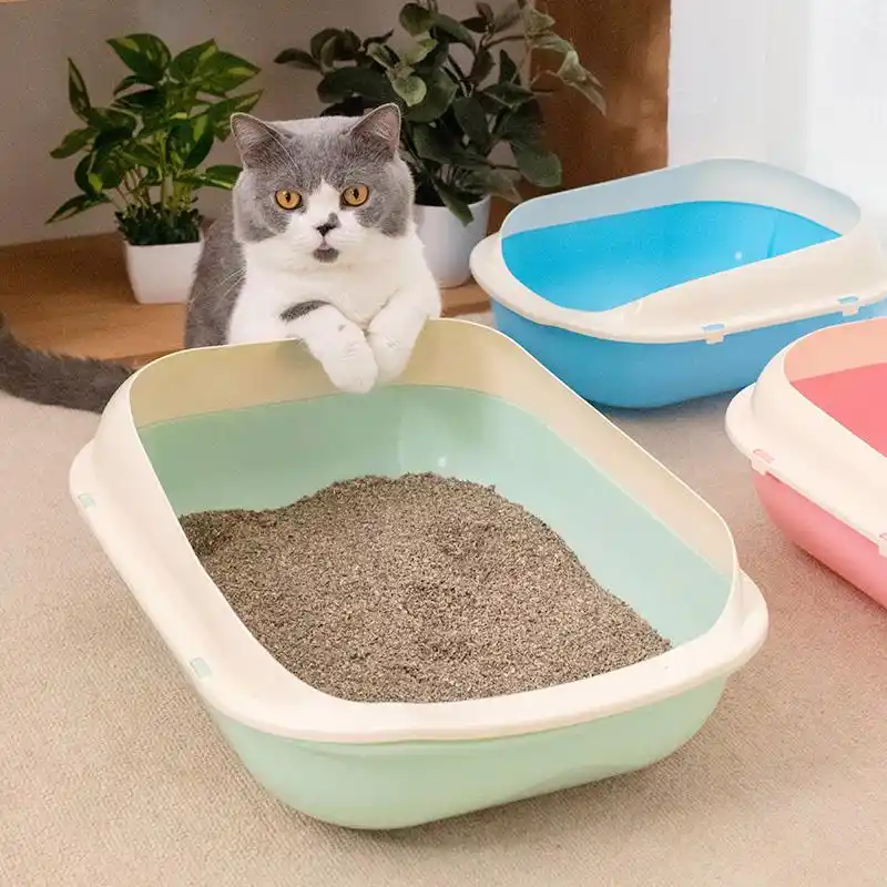 猫咪智商训练技巧_猫咪握手训练方法_怎样训练猫咪握手