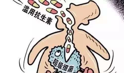 猫膀胱炎是否需要使用消炎药_猫咪特发性膀胱炎：反复发作对策_猫自发性膀胱炎抗生素使用