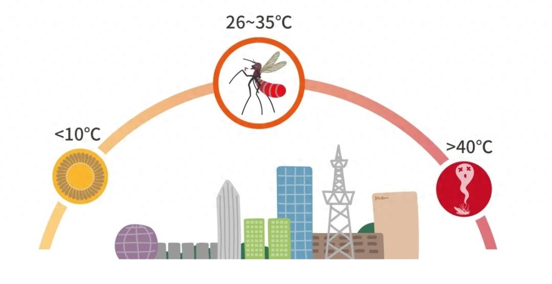 冬防蚊虫,事半功倍!松江专家来教你→丨健康智慧屋-派特超人-宠物