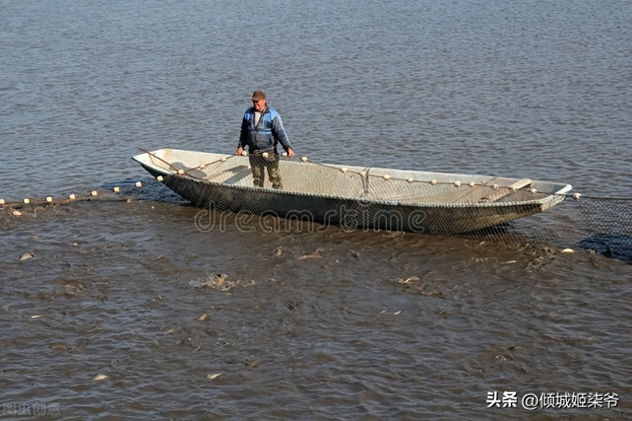 水产养殖中怎么预防寄生虫病?-派特超人-宠物