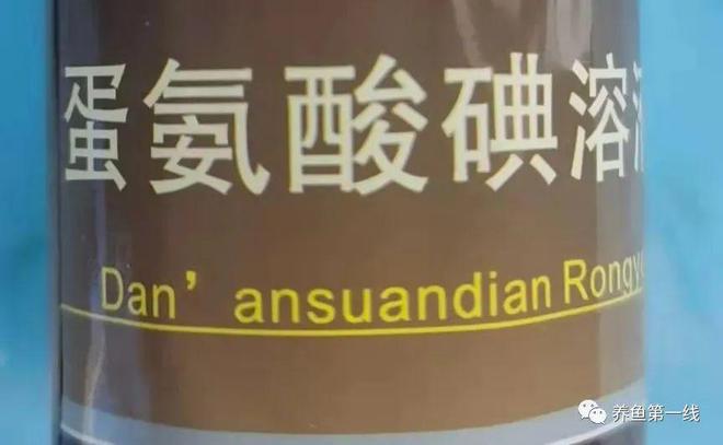鲫鱼烂嘴病症状_鱼类溃疡性红嘴烂嘴烂身病_鱼嘴部溃烂的创口护理