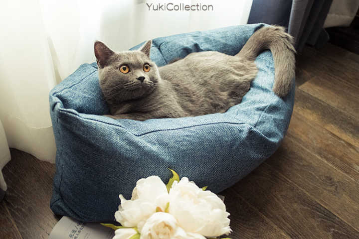 猫窝选择技巧_如何让猫咪爱上猫爬架_猫咪不爱睡猫窝原因分析
