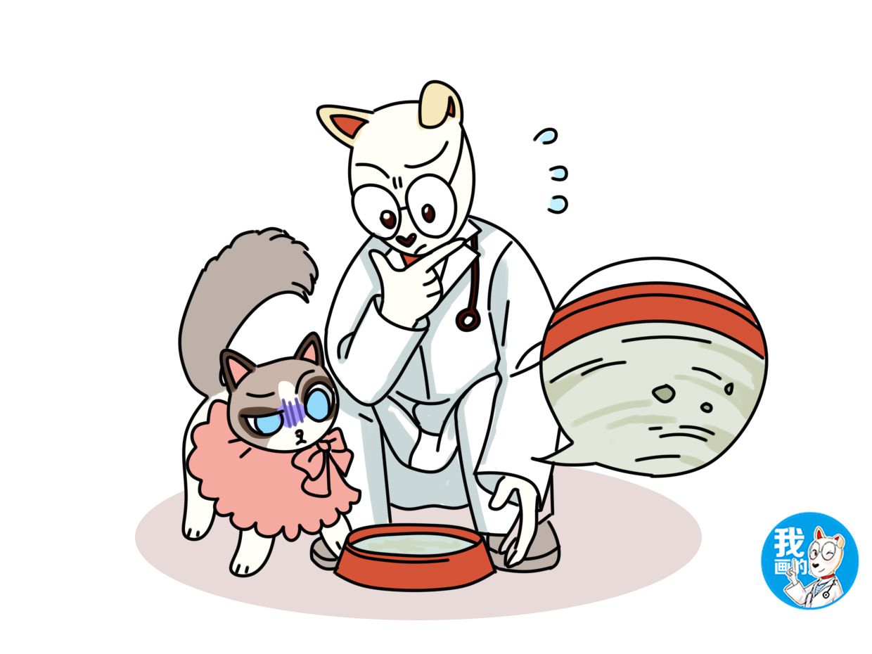 猫咪膀胱炎原因分析_猫咪膀胱炎症状_猫咪特发性膀胱炎：反复发作对策