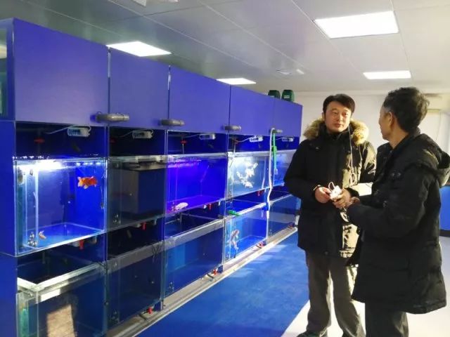 北京观赏鱼病害防治中心_观赏鱼长途运输的防病要点_观赏鱼免费鱼病医院