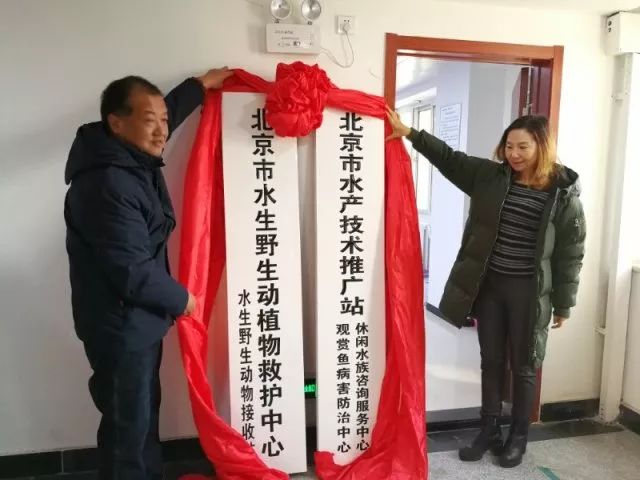 观赏鱼长途运输的防病要点_观赏鱼免费鱼病医院_北京观赏鱼病害防治中心