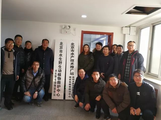 观赏鱼免费鱼病医院_北京观赏鱼病害防治中心_观赏鱼长途运输的防病要点